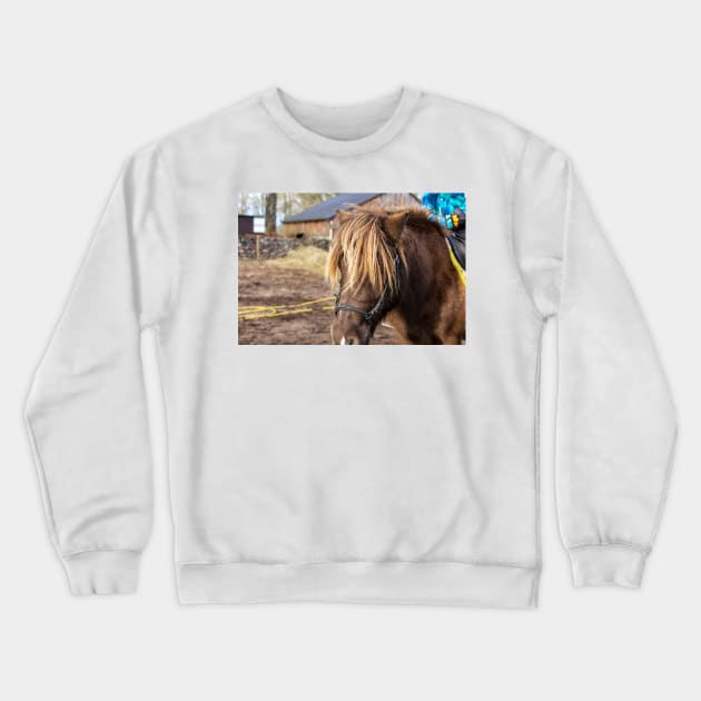 Portrait of brown pony with long mane Crewneck Sweatshirt by lena-maximova